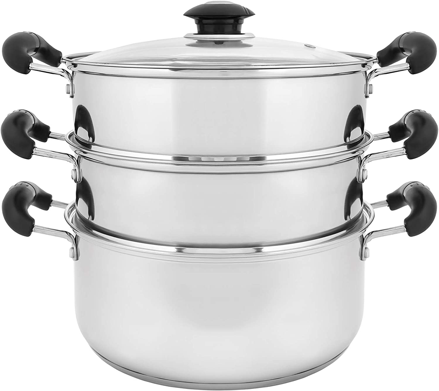Stainless Steel Steamer Pot for Cooking, 2 Tier Steamer with Lid 10-Inch  Steamer Cookware, Thicken Food Steaming Pot for Vegetable, Tamale, Seafood