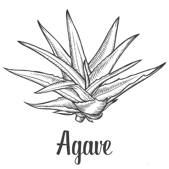 Agave Syrup 1A 285kg Drum