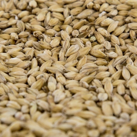 55lb Gambrinus Pale Malt