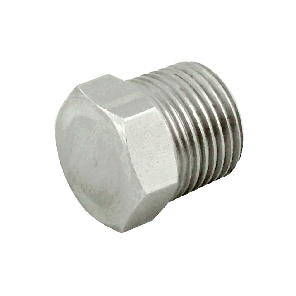 Hex Head Plug 1/4inMpt 304 S/S