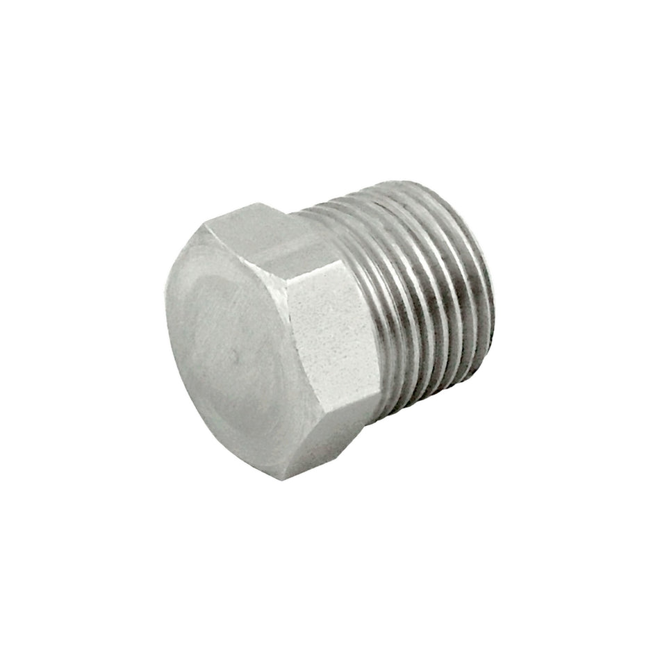 Hex Head Plug 1/8inMpt 304 S/S